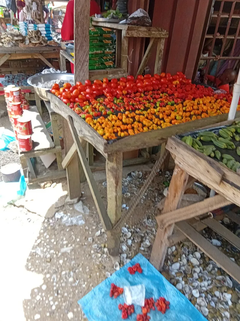 City, Βουνό ή Δρόμος; Ο Αντικειμενικός Οδηγός για να Διαλέξεις το Σωστό Ποδήλατο στην Αθήνα